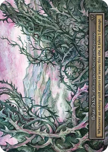 Briar Patch Card Front