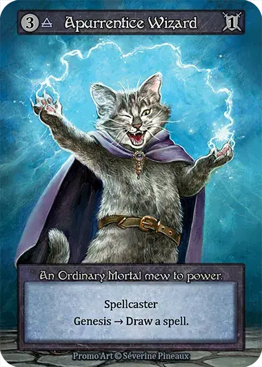 Apprentice Wizard Card Front