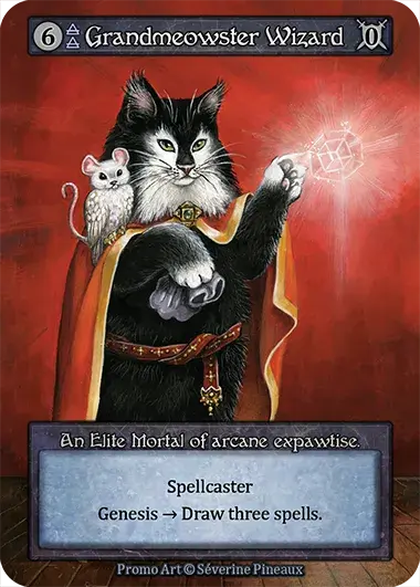 Grandmaster Wizard Card Front