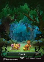 Forest · 2544 2544