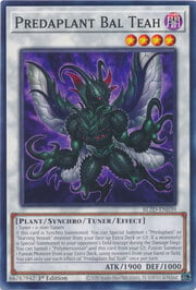 Predaplant Bal Teah · Common 039