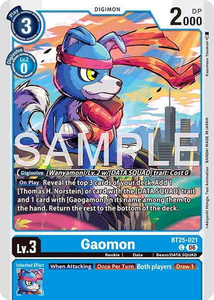 Gaomon Card Front