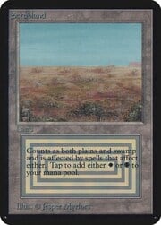 Scrubland 281
