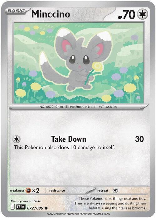 Minccino Card Front