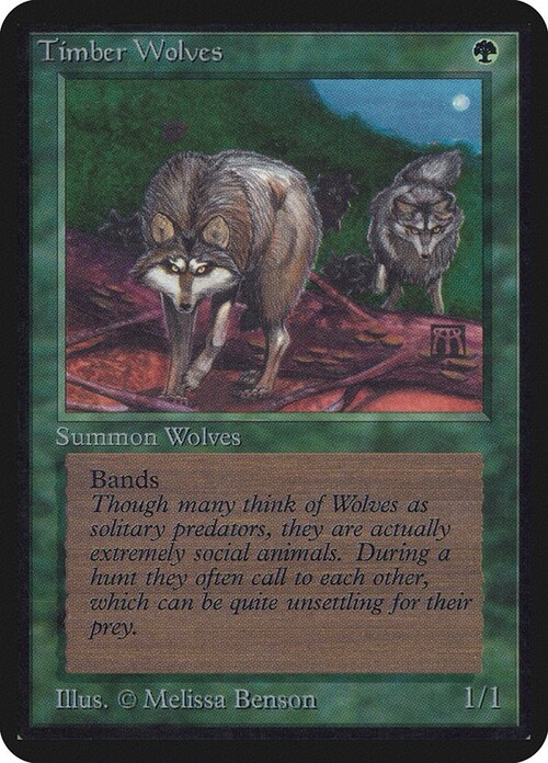 Timber Wolves Card Front