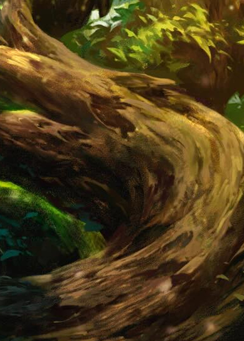 "Heart of Fyendal" Macro Puzzle Card Card Front