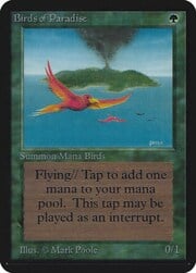 Birds of Paradise 186