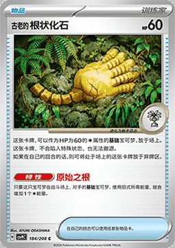 Antique Root Fossil Card Front