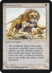 Savannah Lions 038
