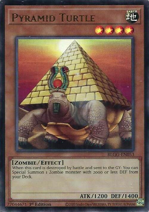 Tartaruga Piramide Card Front