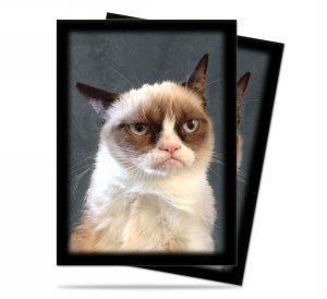 50 Grumpy Cat Sleeves
