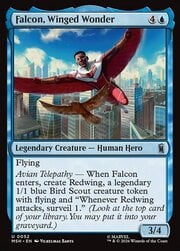 Falcon, Winged Wonder 052