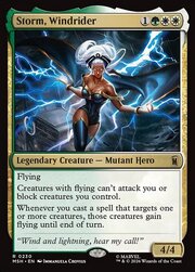 Storm, Windrider 230