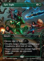 Epic Fight · Borderless 351