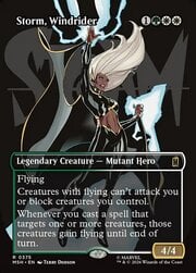 Storm, Windrider · Borderless 375