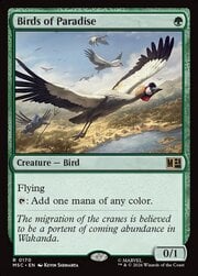 Aves del paraíso