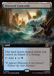Drowned Catacomb · Extended Art 469