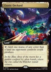 Exotic Orchard · Extended Art 470