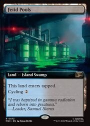 Fetid Pools · Extended Art 472
