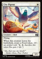 City Pigeon 769
