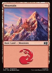 Mountain · 860 | Tutorial 5 860