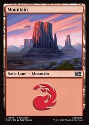 Mountain · 861 | Tutorial 6 861