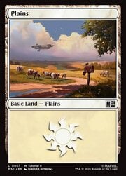 Plains · 867 | Tutorial 4 867