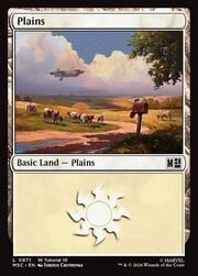 Plains · 871 | Tutorial 10 871