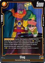 Slug FB10-080