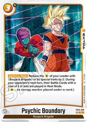 Psychic Boundary FB10-096