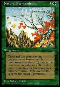 Untamed Wilds Card Front