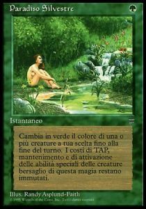Sylvan Paradise Card Front