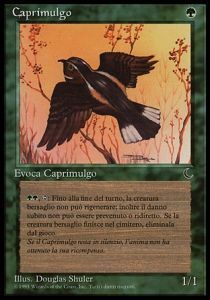 Caprimulgo Card Front