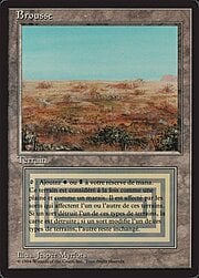 Scrubland 286