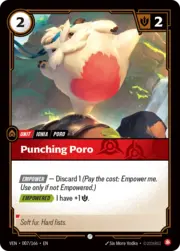 Punching Poro 007