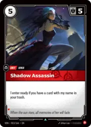 Shadow Assassin 013
