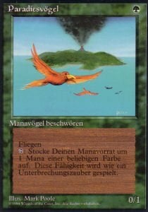 Birds of Paradise Card Front