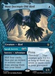 Most Decrepit Old Bird // Speak Secrets · Showcase 221