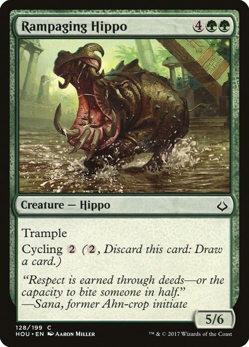 Hipopótamo impetuoso Frente