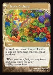 Exotic Orchard 079