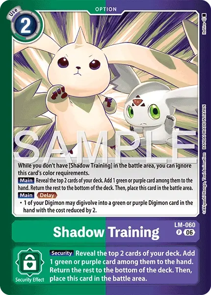 Shadow Training Frente