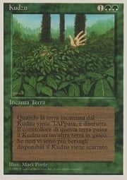 Kudzu 205
