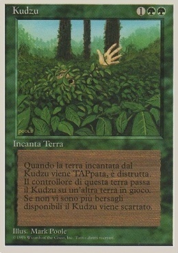 Kudzu Card Front