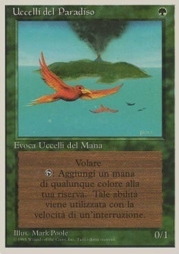 Uccelli del Paradiso Card Front