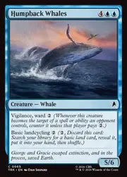 Humpback Whales 065