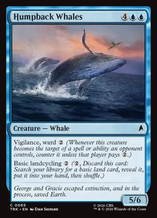 Humpback Whales Card Front