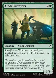 Xindi Surveyors 225