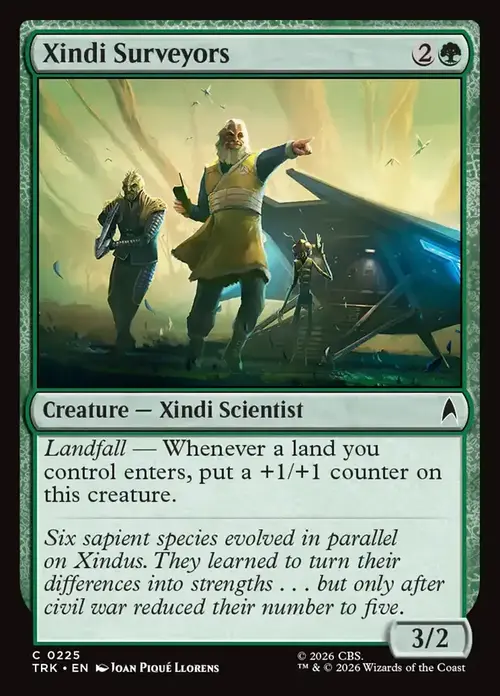 Xindi Surveyors Frente