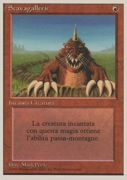 Burrowing Card Front