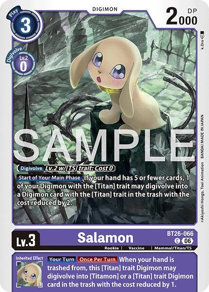 Salamon Card Front